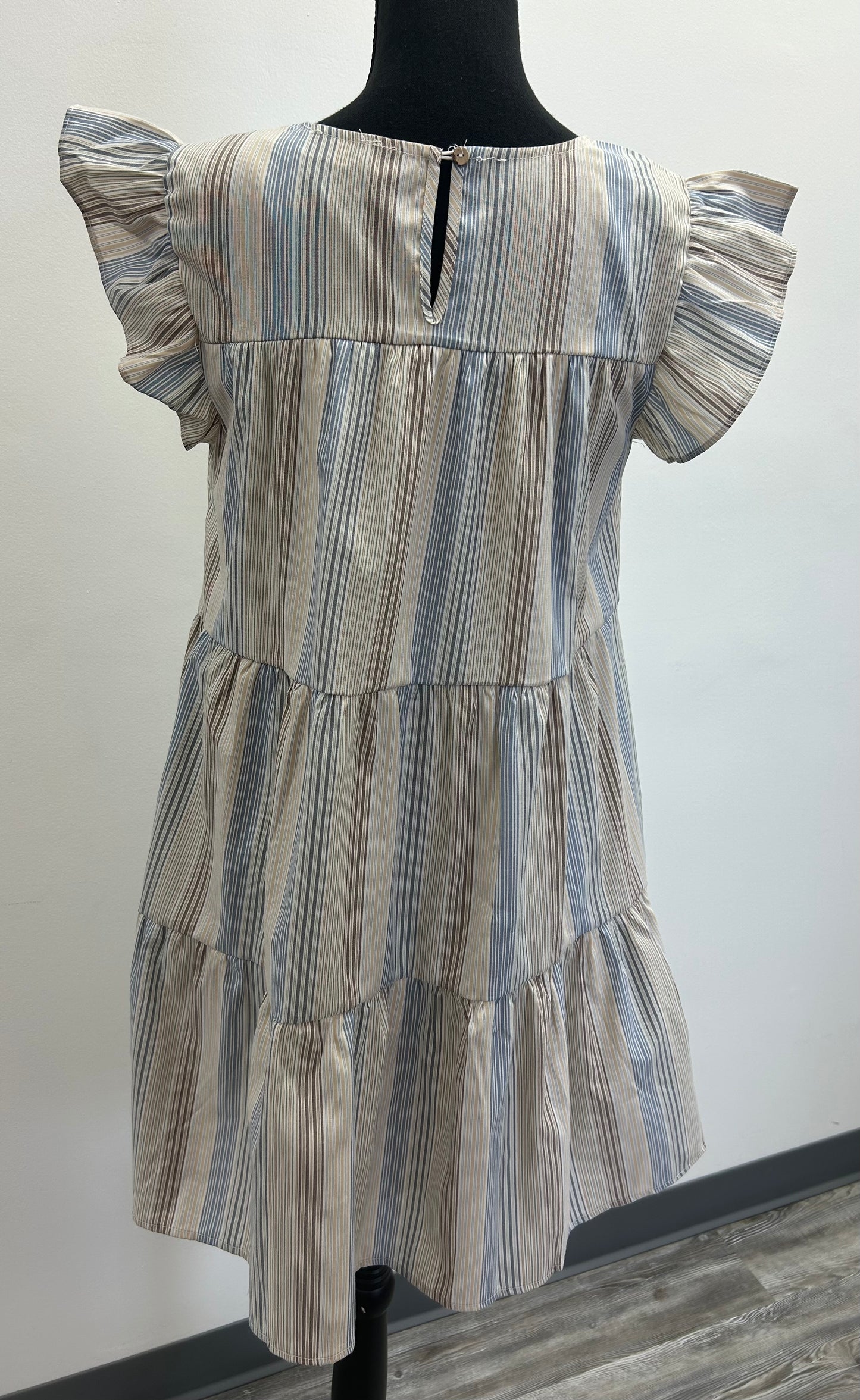 Blue and Brown Striped Dress