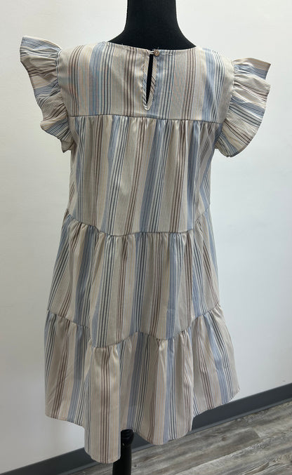 Blue and Brown Striped Dress